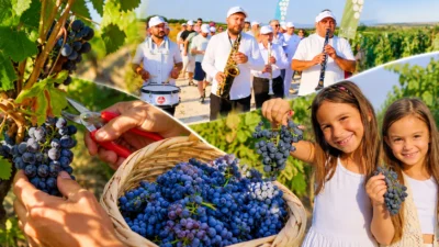 Kırklareli’nde düzenlenen 17’nci Yayla Bolluk, Bereket, Hasat ve Bağ Bozumu